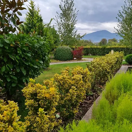 Guest house Fields
